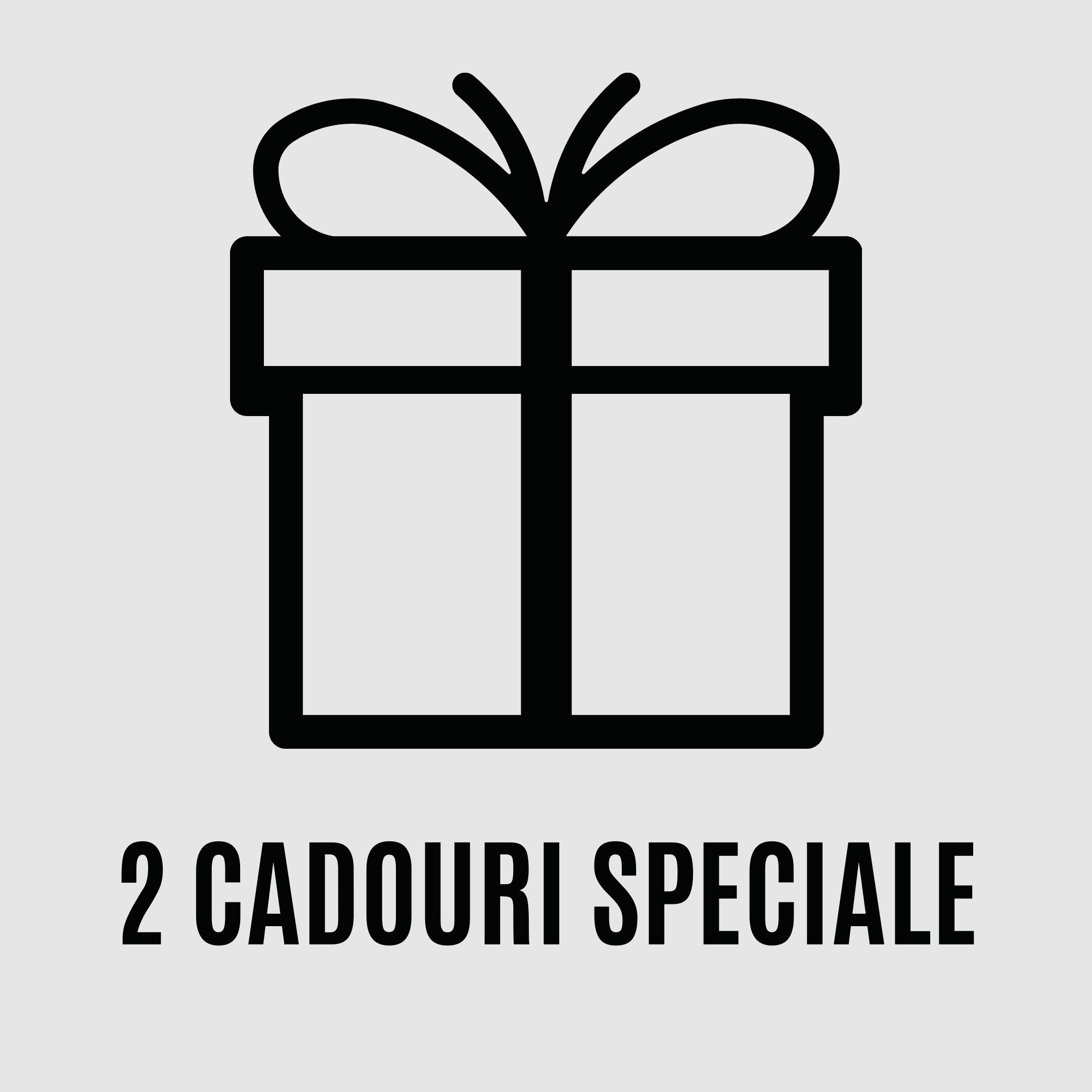 79 RON Livrare gratuită 2 cadouri speciale (25)